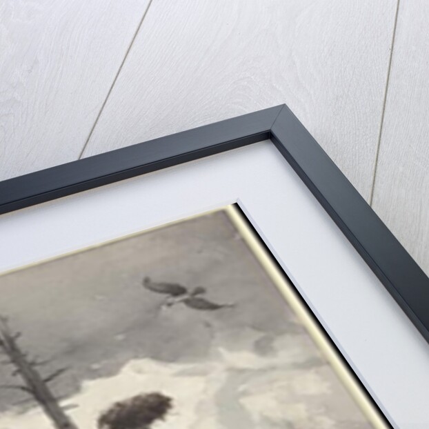 The Eagle's Nest, 1902 by Winslow Homer