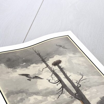 The Eagle's Nest, 1902 by Winslow Homer