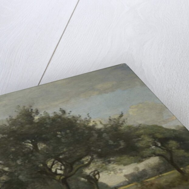 Apple Trees in a Field, c.1865-70 by Jean Baptiste Camille Corot