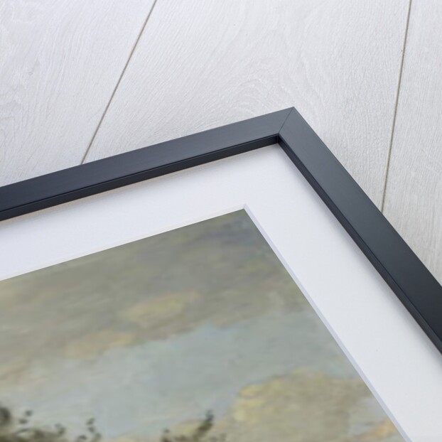 Apple Trees in a Field, c.1865-70 by Jean Baptiste Camille Corot