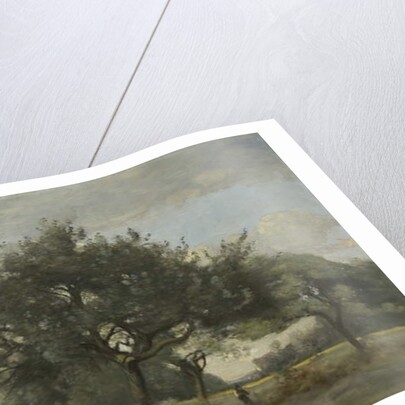 Apple Trees in a Field, c.1865-70 by Jean Baptiste Camille Corot