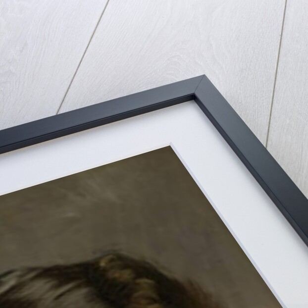 Madame Céline Leclanché, 1881 by Giovanni Boldini