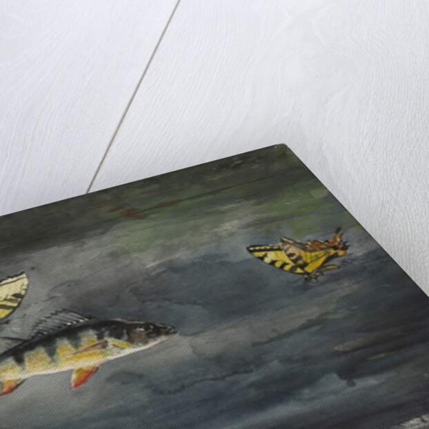 Fish and Butterflies, 1900 by Winslow Homer