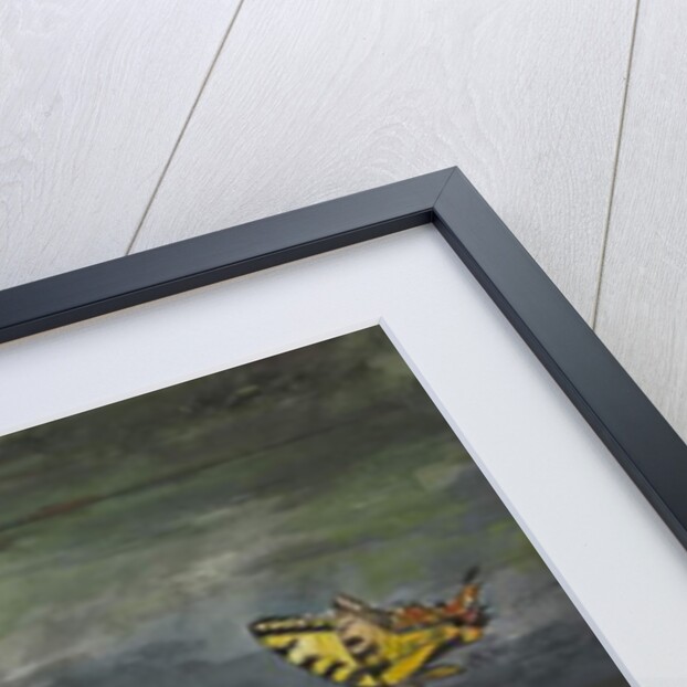 Fish and Butterflies, 1900 by Winslow Homer