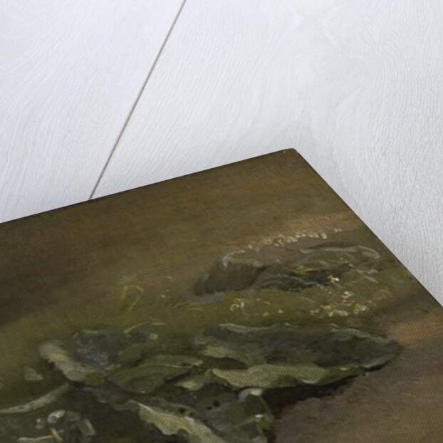 Study of a Burdock, c.1810-14 or c.1828 by John Constable