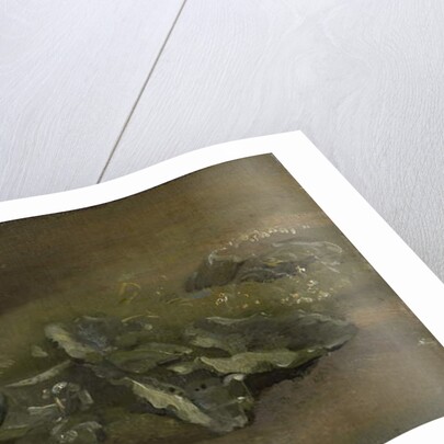 Study of a Burdock, c.1810-14 or c.1828 by John Constable