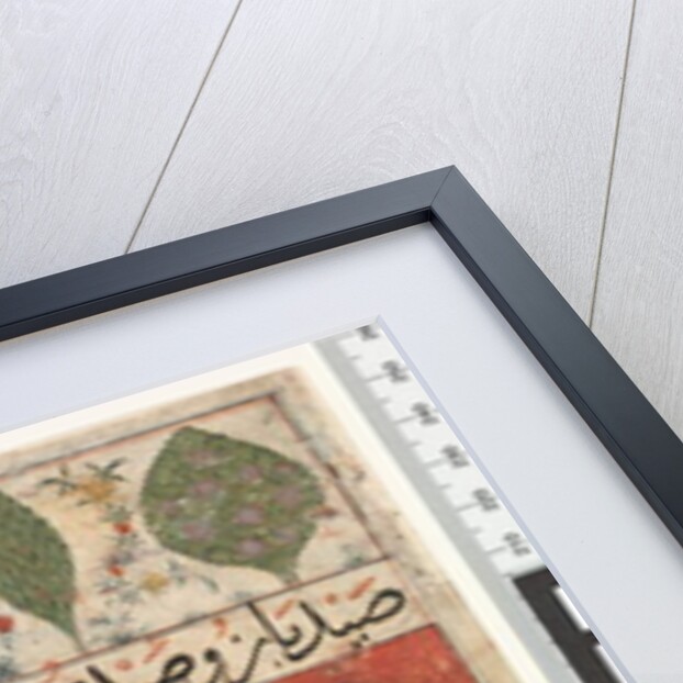 Animals, Birds and Plants, Ilkhanid Period, 1341 by Persian School