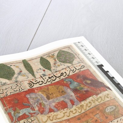 Animals, Birds and Plants, Ilkhanid Period, 1341 by Persian School