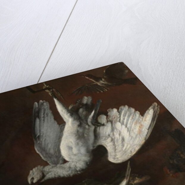 Hare, Spoonbill, and Fish, mid-1600s by Italian School