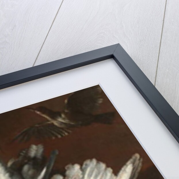 Hare, Spoonbill, and Fish, mid-1600s by Italian School