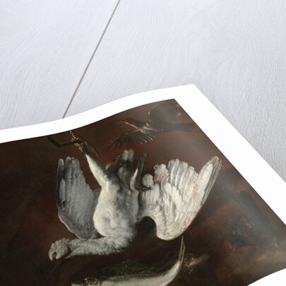 Hare, Spoonbill, and Fish, mid-1600s by Italian School