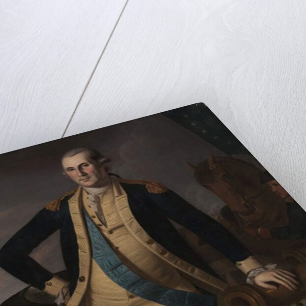 George Washington at the Battle of Princeton, c.1779 by Charles Willson Peale