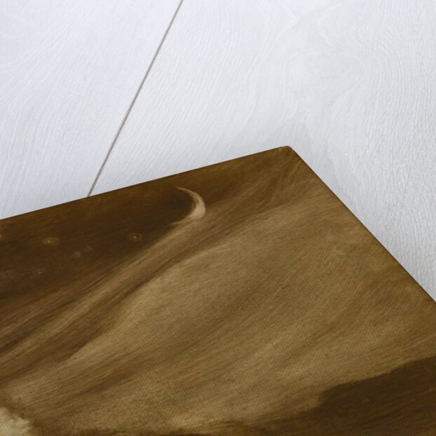 The Contemplator, 1901 by Eugene Carriere