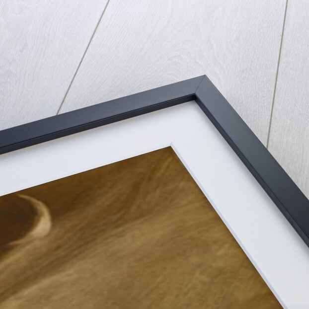 The Contemplator, 1901 by Eugene Carriere