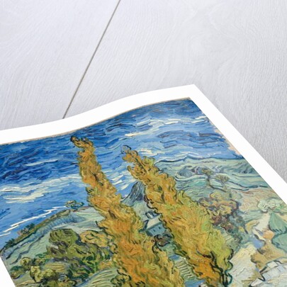 The Poplars at Saint-Rémy, 1889 by Vincent van Gogh