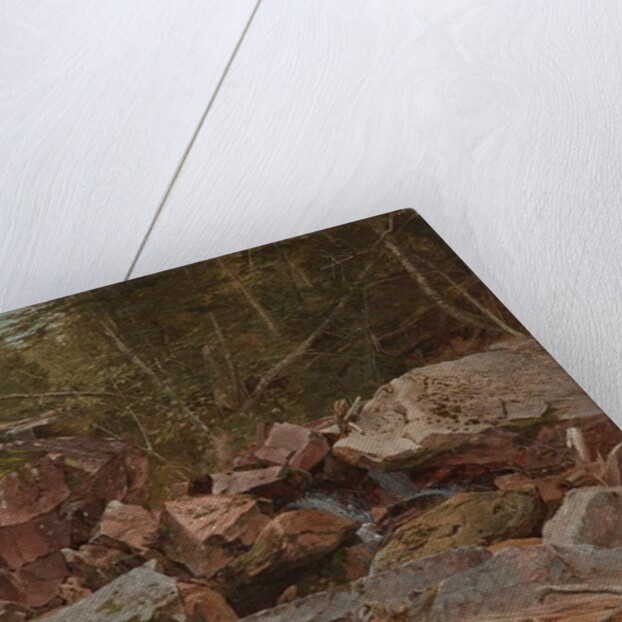 Study, North Conway, New Hampshire, 1851 by David Johnson