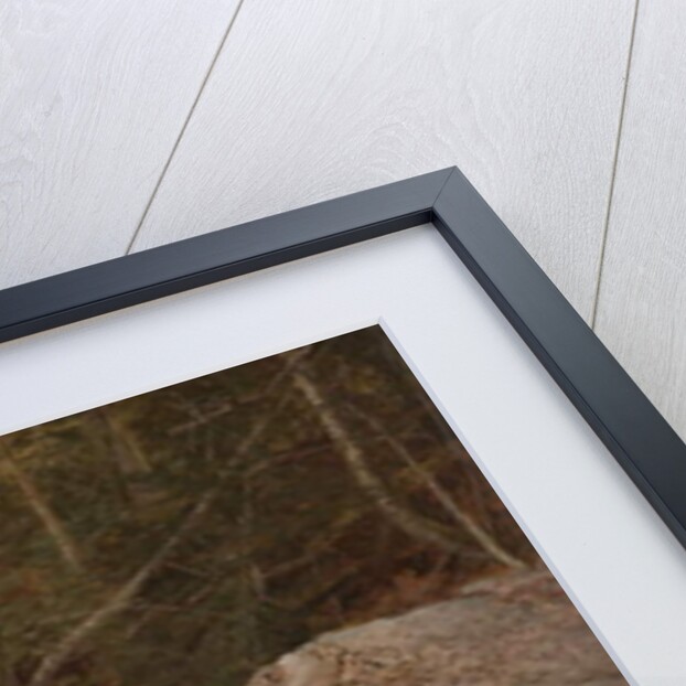 Study, North Conway, New Hampshire, 1851 by David Johnson