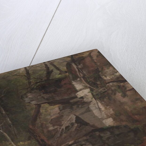 Trees on a Rocky Hillside, c.1849 by Asher Brown Durand