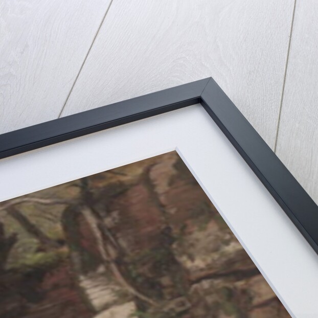 Trees on a Rocky Hillside, c.1849 by Asher Brown Durand