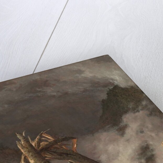 Storm in the Mountains, 1847 by Frederic Edwin Church