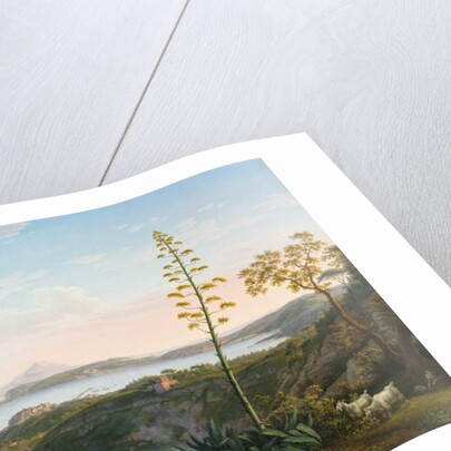 View of the Gulf of Pozzuoli from Solfatara, 1803 by Jacob-Philippe Hackert