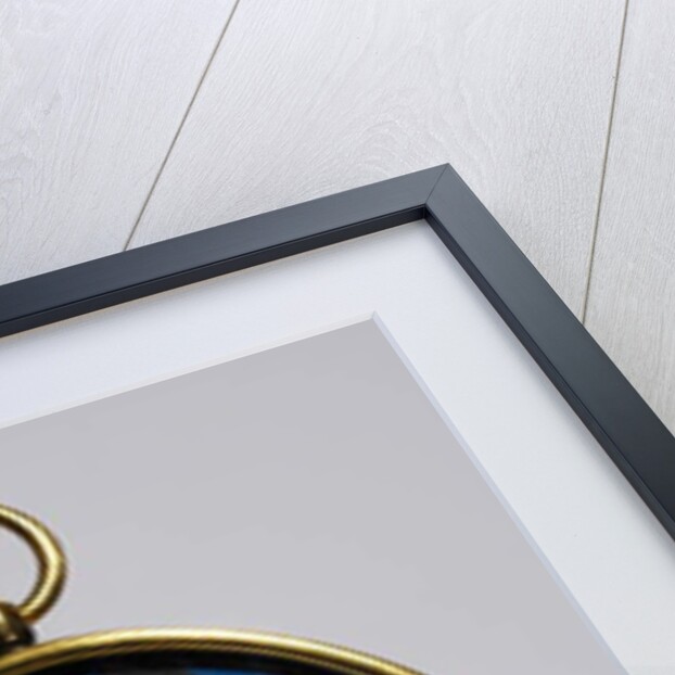 Portrait of Charles Howard, 2nd Baron Howard of Effingham, 1576 by Nicholas Hilliard