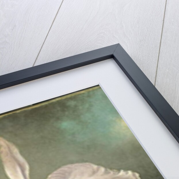 Orchid Blossoms, 1873 by Martin Johnson Heade