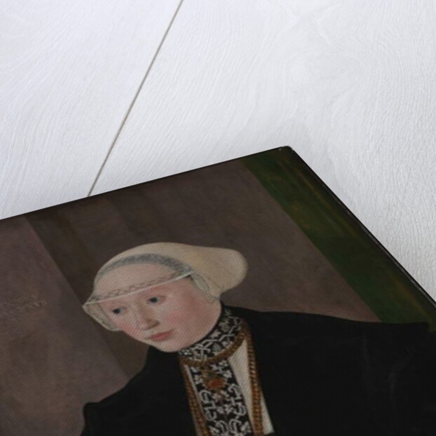 Portrait of Maria Kitscher, Frau von Freyberg, 1545 by Hans Mielich or Muelich