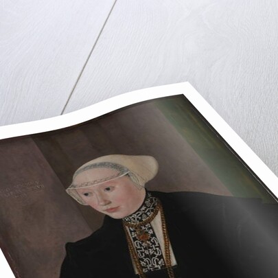 Portrait of Maria Kitscher, Frau von Freyberg, 1545 by Hans Mielich or Muelich