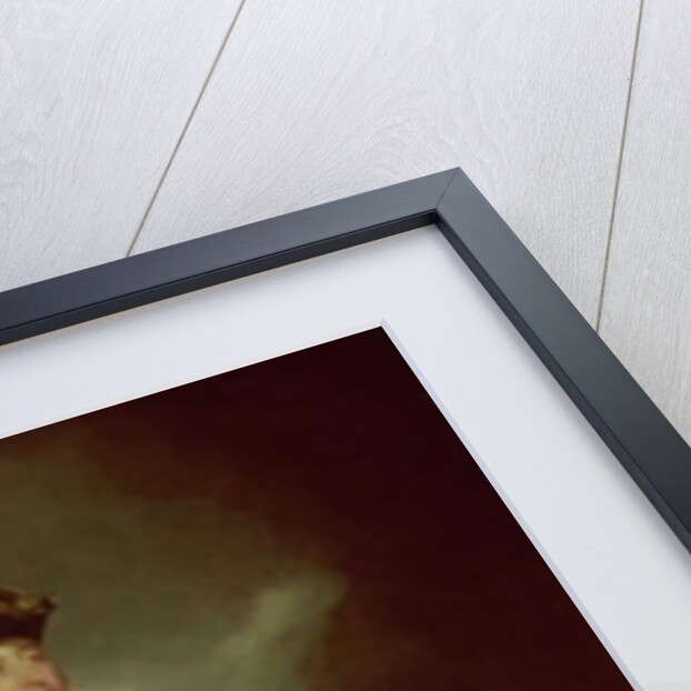 Portrait of Sir George Cockburn, 1851 by John James Halls