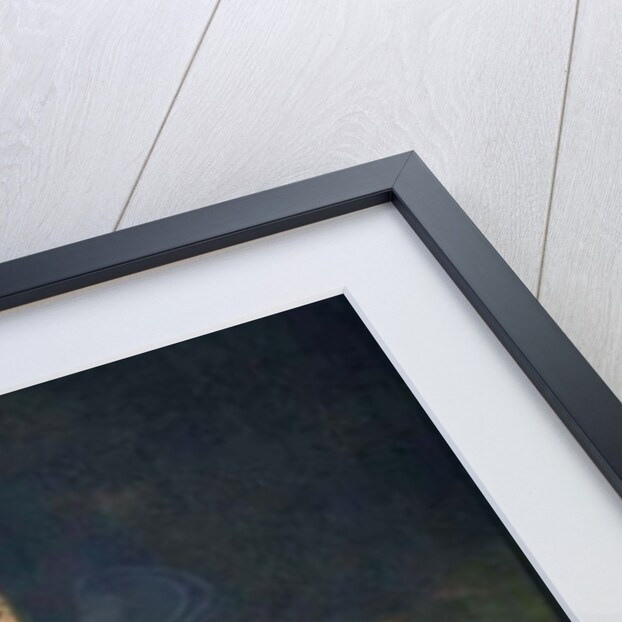 Admiral Lord Collingwood by Colvin Smith