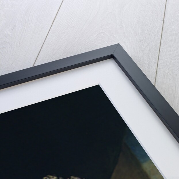 Portrait of Queen Victoria, 1843 by Francis Grant