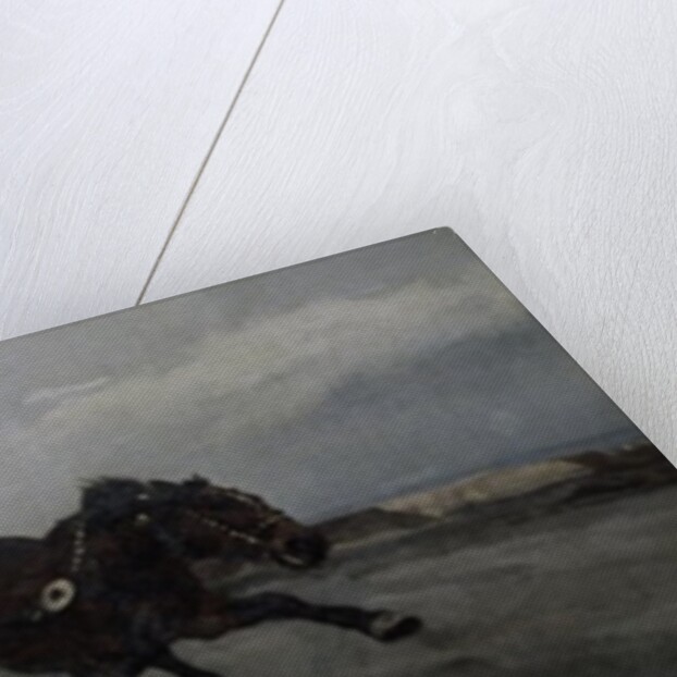 Four in Hand, 1881 by Joseph Chelmonski