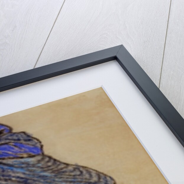 Girl in a Blue Hat, 1895 by Stanislaw Wyspianski