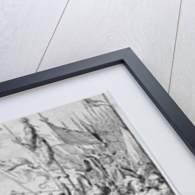 Vienna Print Cycle, Homage of the Hungarians, 1683 by Romeyn de Hooghe