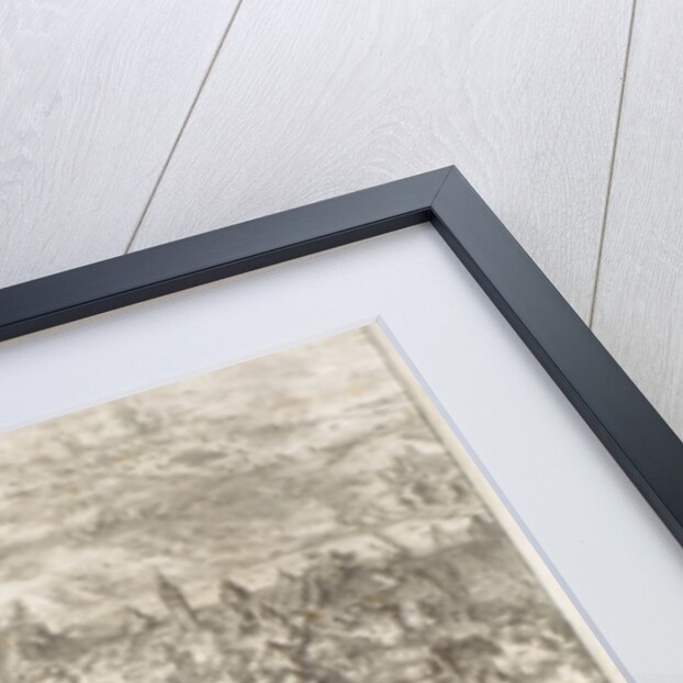 The Siege of Buda in 1541, 1686 by Romeyn de Hooghe