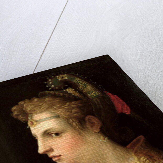 Venus Victrix by Michele di Ridolfo Tosini