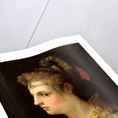 Venus Victrix by Michele di Ridolfo Tosini