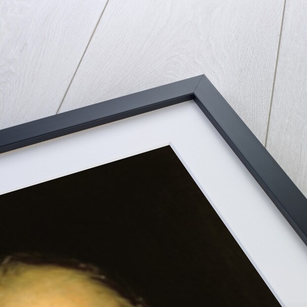 Prince Adam George Czartoryski by Hippolyte Delaroche