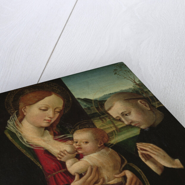 Madonna feeding the Christ Child, c.1500-30 by Ambrogio Borgognone