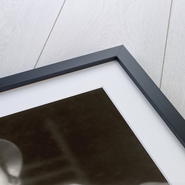 Portrait of Marlene Dietrich, 1935 by German Photographer