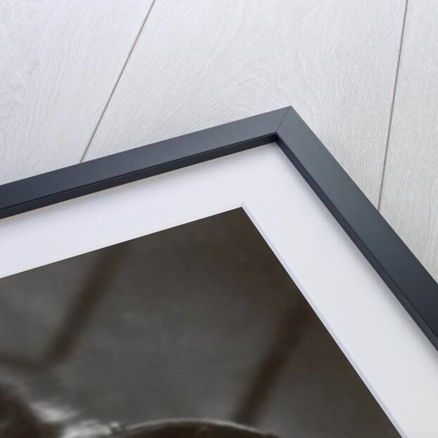 The Scarlet Empress, 1934 by Anonymous