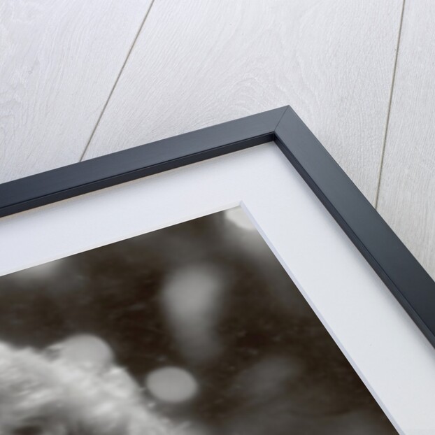 The Scarlet Empress, 1934 by Anonymous