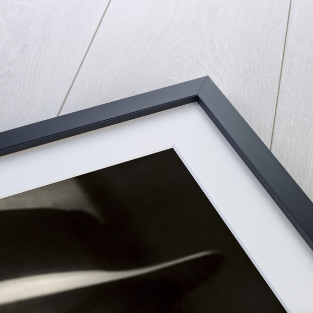 Still from the film 'Die schoenen Tage in Aranjuez', aka 'Ein Traum vom Glueck' with Gustaf Gruendgens, 1933 by German Photographer