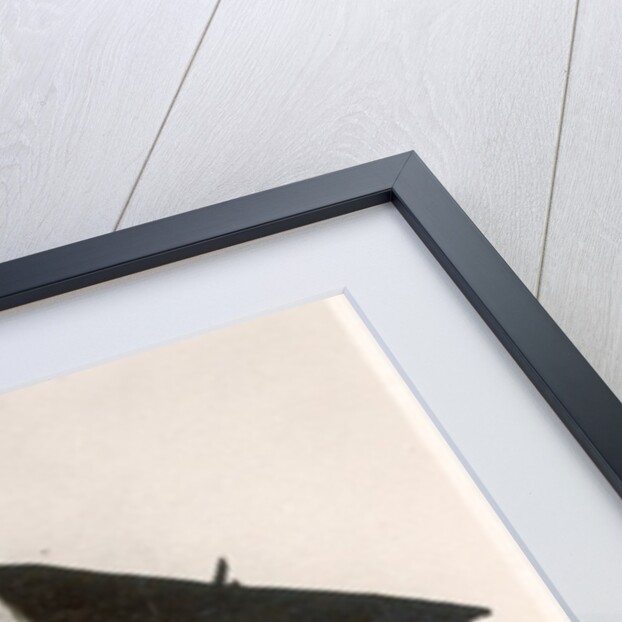 The prototype airship Zeppelin LZ1 in floating hangar in the Bay of Manzell, Lake Constance, Friedrichshafen, 1900 by German Photographer