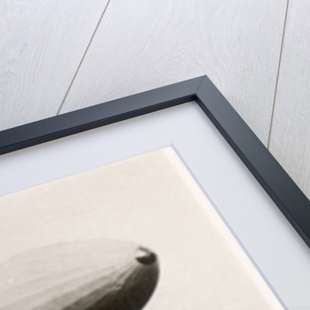The first flight of the prototype airship Zeppelin LZ1, shown above a boat on Lake Constance, Friedrichshafen, 2nd July 1900 by German Photographer