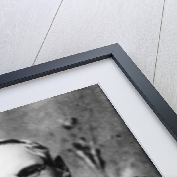 Portrait of Austrian poet Peter Rosegger by German Photographer