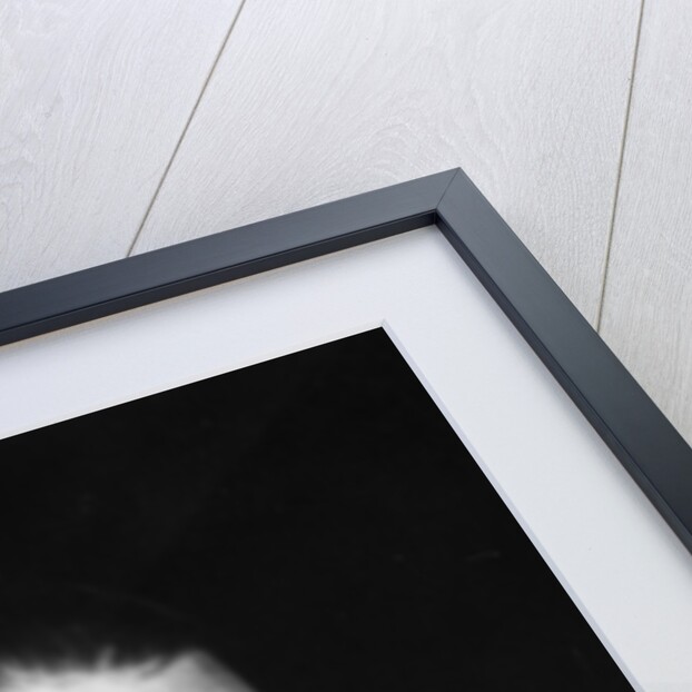 Portrait of German writer Carl Zuckmayer by German Photographer