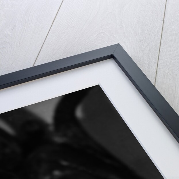 Portrait of Austrian writer Richard Billinger by German Photographer