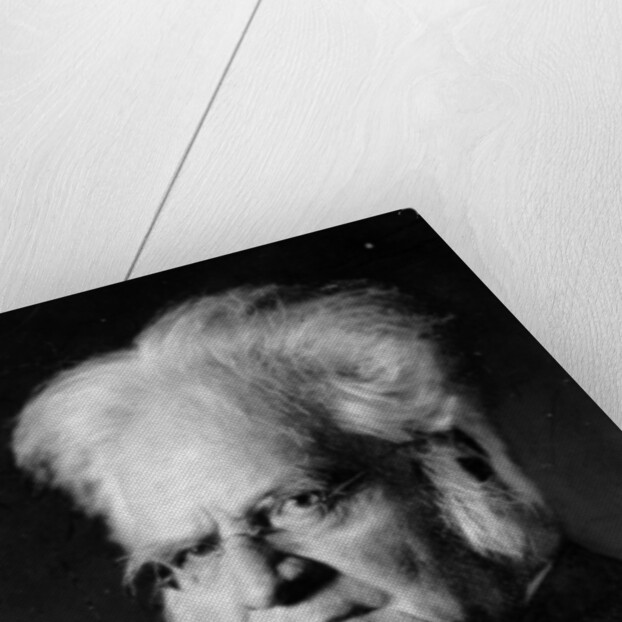 Portrait of Norwegian writer Bjoernstjerne Bjoernson by German Photographer